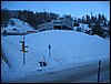 IMG_2768.JPG