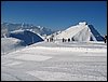IMG_2775.JPG