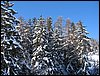 IMG_2793.JPG