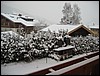 wagrain-073.JPG