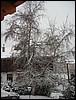 wagrain-074.JPG