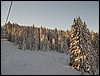 wagrain-167.JPG