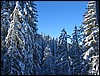 wagrain-169.JPG