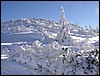 wagrain-204.JPG
