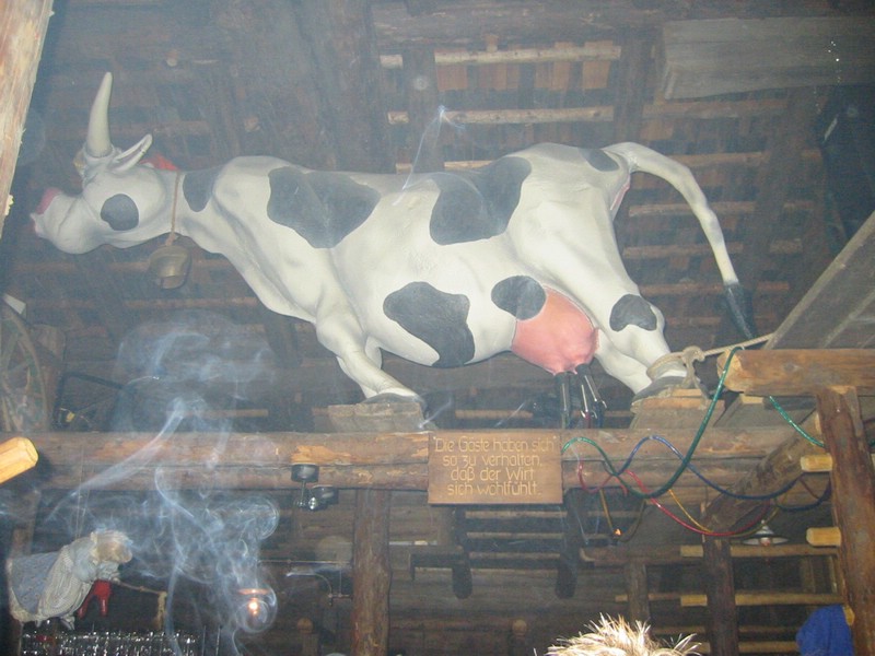116-1674_IMG.JPG
