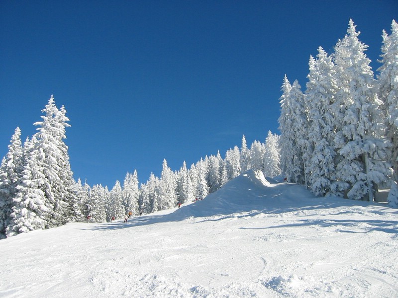 117-1760_IMG.JPG