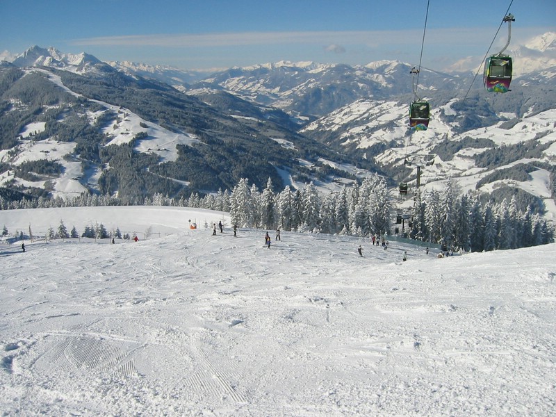 117-1761_IMG.JPG