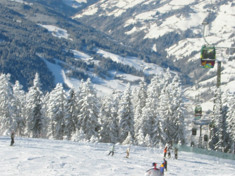 117-1762_IMG.JPG