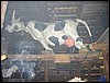 116-1674_IMG.JPG