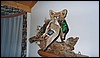 1990-1_0016.jpg